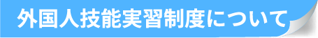 外国人技能実習制度について